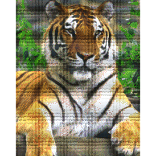 Tiger 809010